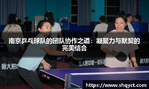 南京乒乓球队的团队协作之道：凝聚力与默契的完美结合